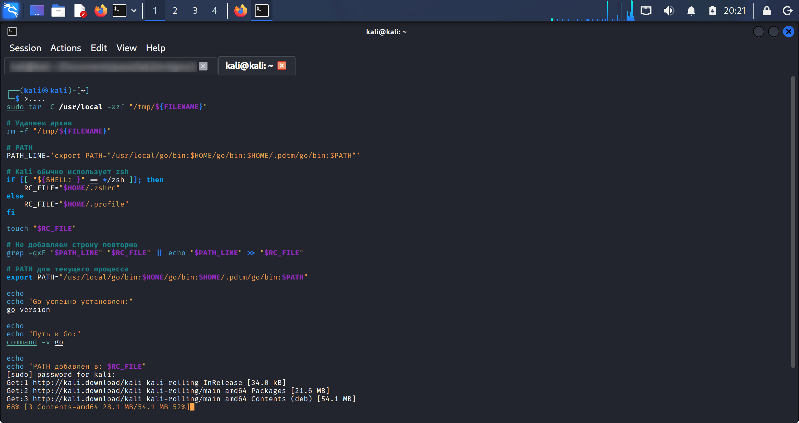 go-kali-install-process.png