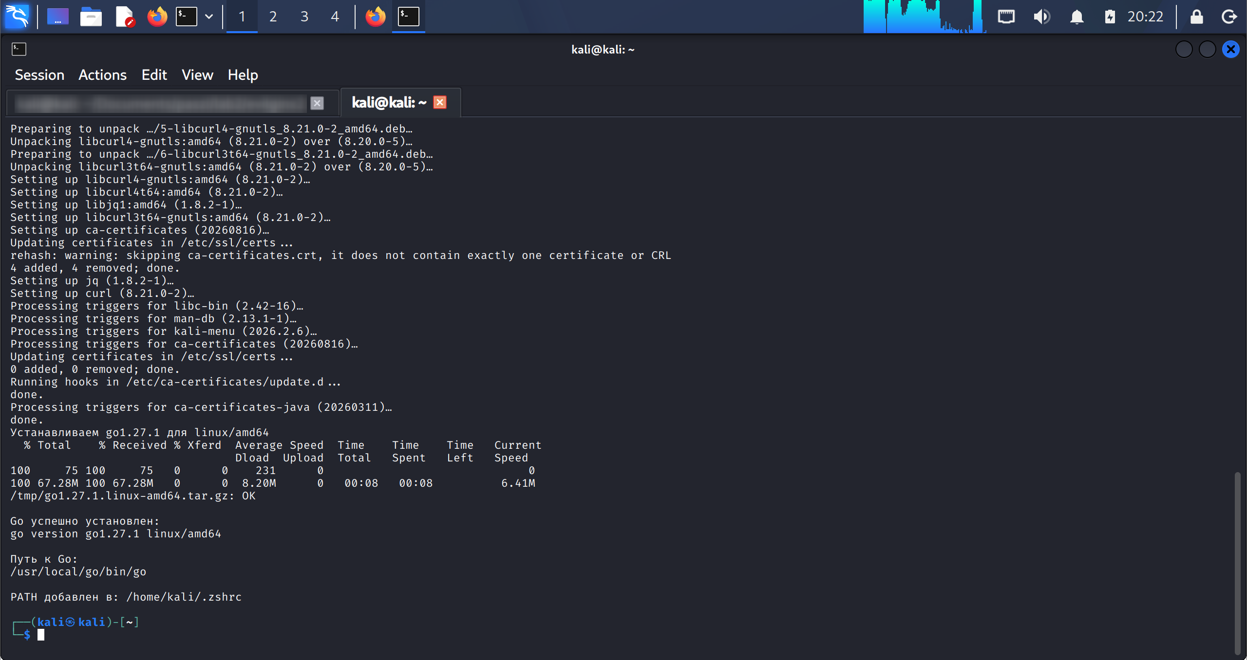 go-kali-install-result.png