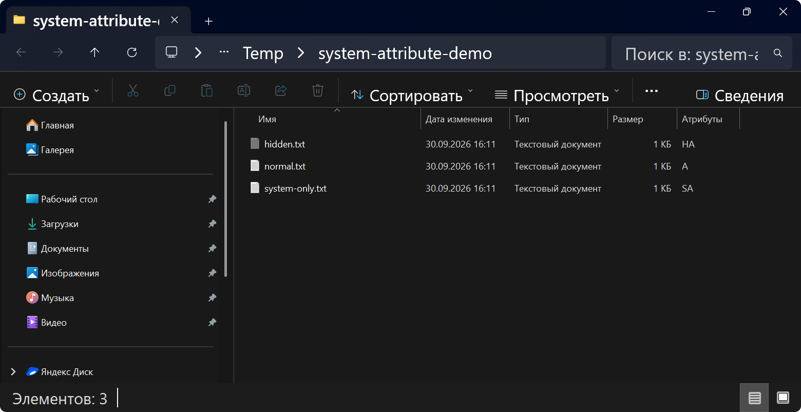 hidden-system-04-show-hidden-items.png