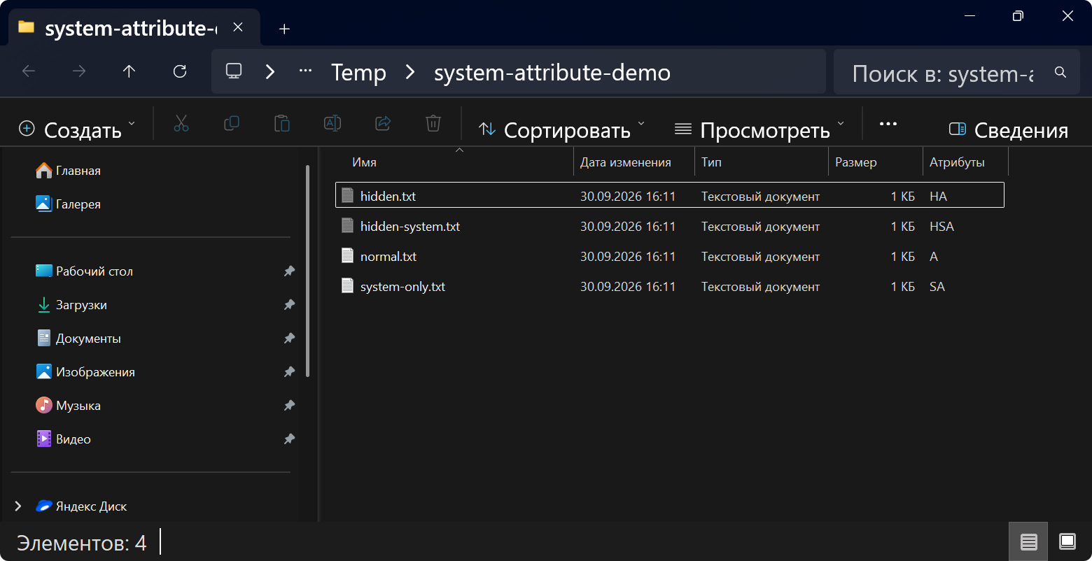 hidden-system-05-show-protected-files.png