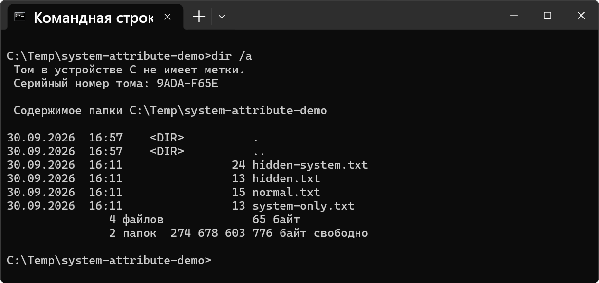 hidden-system-06-cmd-dir-a.png