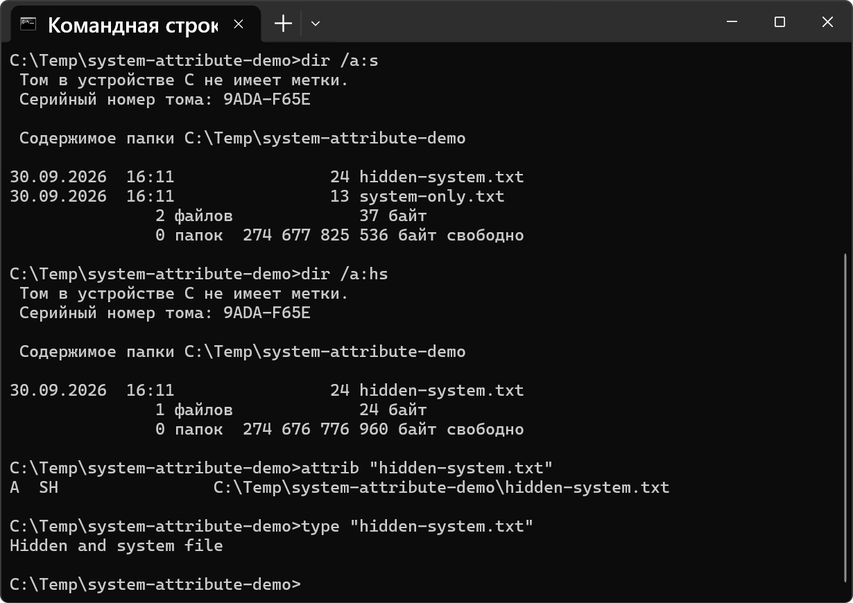 hidden-system-06-cmd-view.png